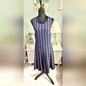 Black & Blue Sleeveless A-Line Dress
